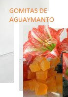 GOMITAS DE AGUAYMANTO 